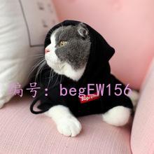 ûа취