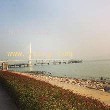 ĺ֮
