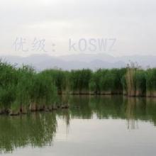 ǧ
