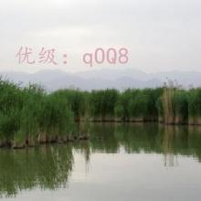 ǧ