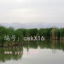 ǧ