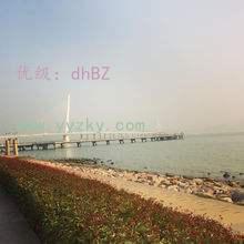 ĺ֮