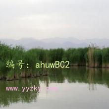 ǧ
