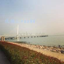 ĺ֮